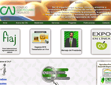 Tablet Screenshot of caj.org.mx